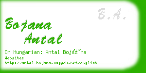 bojana antal business card